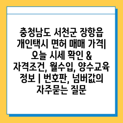 충청남도 서천군 장항읍 개인택시 면허 매매 가격| 오늘 시세 확인 & 자격조건, 월수입, 양수교육 정보 | 번호판, 넘버값