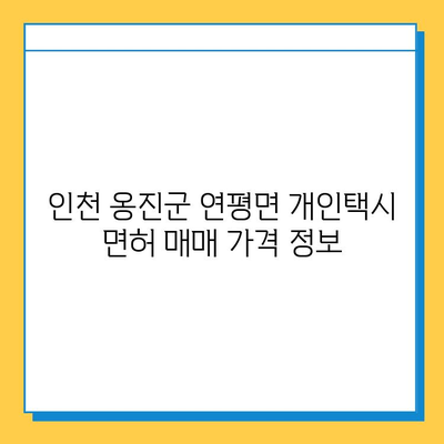 인천 옹진군 연평면 개인택시 면허 매매 가격| 오늘 시세 확인 & 자격 조건 | 월수입 & 양수 교육