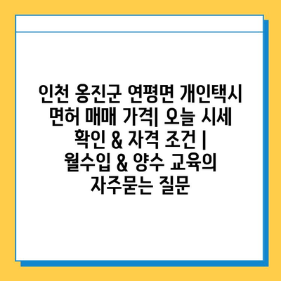 인천 옹진군 연평면 개인택시 면허 매매 가격| 오늘 시세 확인 & 자격 조건 | 월수입 & 양수 교육