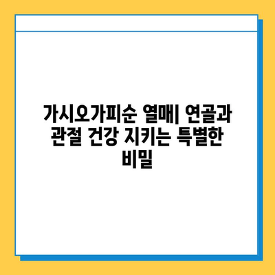 가시오가피순 열매| 연골과 관절 건강 지키는 특별한 비밀 | 가시오가피, 관절 건강, 연골 관리, 효능, 섭취 방법