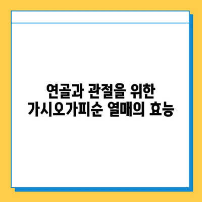 가시오가피순 열매| 연골과 관절 건강 지키는 특별한 비밀 | 가시오가피, 관절 건강, 연골 관리, 효능, 섭취 방법