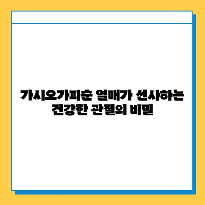 가시오가피순 열매| 연골과 관절 건강 지키는 특별한 비밀 | 가시오가피, 관절 건강, 연골 관리, 효능, 섭취 방법