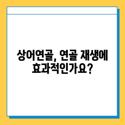 상어연골, 관절염 염증 완화에 효과적인가요? | 관절염, 연골 재생, 건강 정보