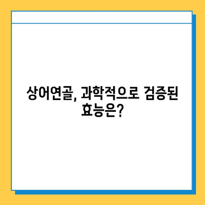 상어연골, 관절염 염증 완화에 효과적인가요? | 관절염, 연골 재생, 건강 정보