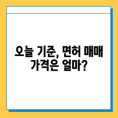 전라남도 무안군 삼향읍 개인택시 면허 매매 가격 & 시세 (오늘 기준) | 자격조건, 월수입, 양수교육