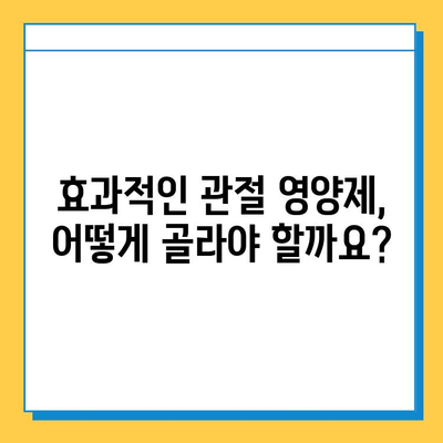 관절 연골 건강, 영양제 선택 가이드| 효과적인 제품 고르는 5가지 기준 | 관절 건강, 연골 재생, 영양제 추천, 건강 관리,  관절 통증 완화