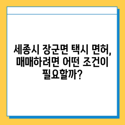 세종시 장군면 개인택시 면허 매매| 오늘 시세, 넘버값, 자격조건, 월수입, 양수교육 | 세종특별자치시, 택시면허, 매매가격, 정보