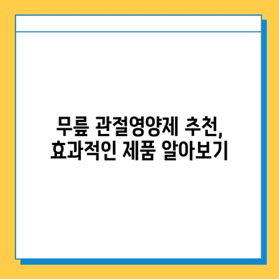 무릎 건강 지키는 최고의 선택! | 무릎 관절영양제 추천 & 비교 가이드