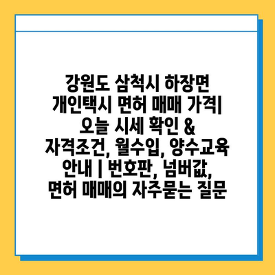 강원도 삼척시 하장면 개인택시 면허 매매 가격| 오늘 시세 확인 & 자격조건, 월수입, 양수교육 안내 | 번호판, 넘버값, 면허 매매