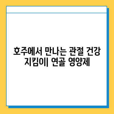 호주 관절 건강 위한 연골 영양제 추천 가이드 | 관절 통증, 연골 재생, 호주 건강식품