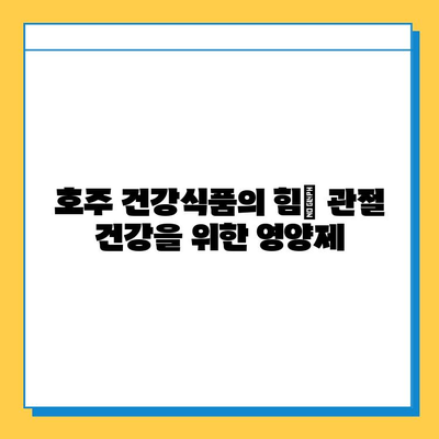 호주 관절 건강 위한 연골 영양제 추천 가이드 | 관절 통증, 연골 재생, 호주 건강식품