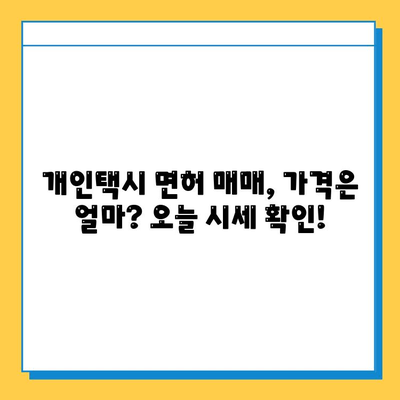 제주도 서귀포시 대천동 개인택시 면허 매매 가격| 오늘 시세 확인 & 양수 교육 정보 | 번호판, 넘버값, 자격조건, 월수입