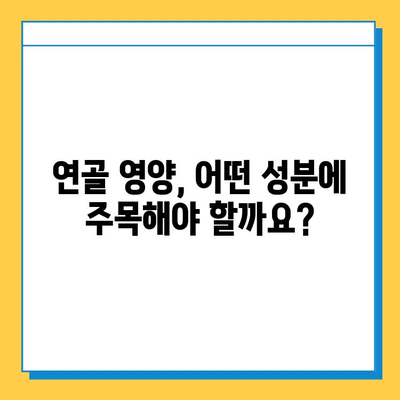 건강한 관절을 위한 연골 관리| 복합 기능성 식품의 효과와 선택 가이드 | 관절 건강, 연골 영양, 건강 기능성 식품