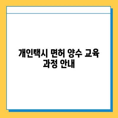 경상북도 칠곡군 동명면 개인택시 면허 매매 가격| 오늘 시세, 넘버값, 자격조건, 월수입, 양수교육 | 상세 정보