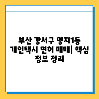 부산 강서구 명지1동 개인택시 면허 매매| 오늘 시세 & 넘버값 | 자격조건, 월수입, 양수교육