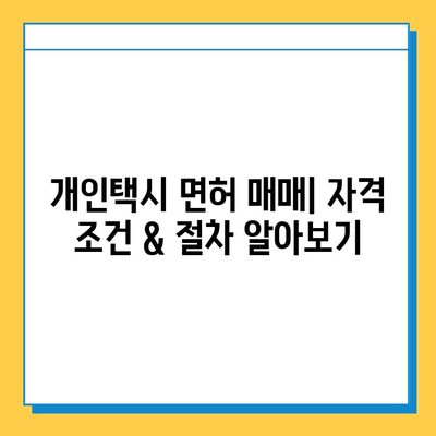 부산 강서구 명지1동 개인택시 면허 매매| 오늘 시세 & 넘버값 | 자격조건, 월수입, 양수교육