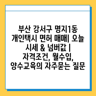 부산 강서구 명지1동 개인택시 면허 매매| 오늘 시세 & 넘버값 | 자격조건, 월수입, 양수교육