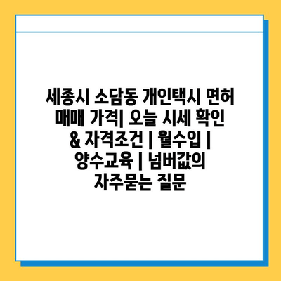 세종시 소담동 개인택시 면허 매매 가격| 오늘 시세 확인 & 자격조건 | 월수입 | 양수교육 | 넘버값