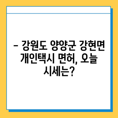 강원도 양양군 강현면 개인택시 면허 매매 가격 (번호판, 넘버값) | 오늘 시세, 자격조건, 월수입, 양수교육