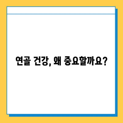 관절 건강 지키는 연골 관리| 복합 식품으로 건강하게! | 관절 건강, 연골 영양, 복합 식품, 건강 관리, 팁