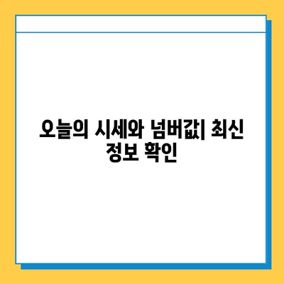 강원도 고성군 거진읍 개인택시 면허 매매| 오늘 시세, 넘버값, 자격조건, 월수입, 양수교육 | 상세 정보