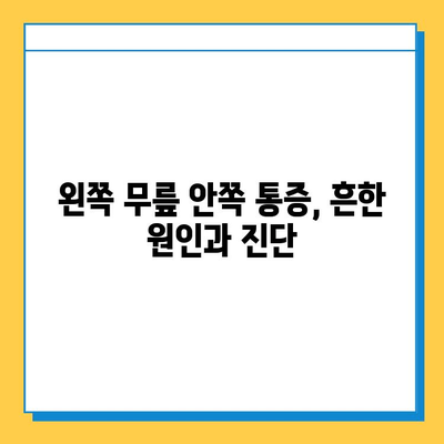 왼쪽 무릎 안쪽 통증, 원인과 연골 관리법| 자세한 정보와 해결책 | 무릎 통증, 연골 손상, 운동, 재활, 예방