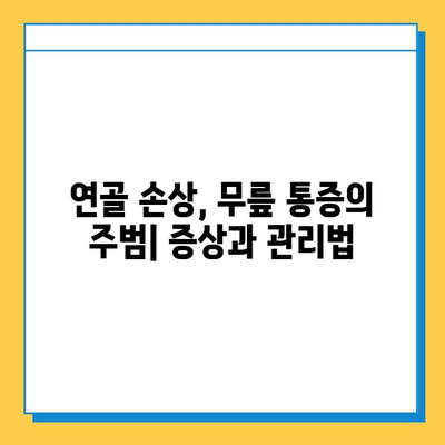 왼쪽 무릎 안쪽 통증, 원인과 연골 관리법| 자세한 정보와 해결책 | 무릎 통증, 연골 손상, 운동, 재활, 예방