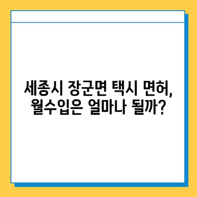 세종시 장군면 개인택시 면허 매매| 오늘 시세, 넘버값, 자격조건, 월수입, 양수교육 | 세종특별자치시, 택시면허, 매매가격, 정보