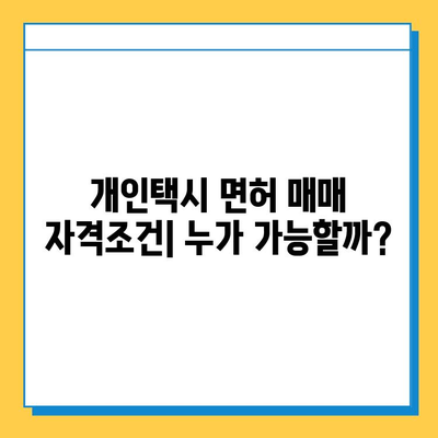 강원도 고성군 거진읍 개인택시 면허 매매| 오늘 시세, 넘버값, 자격조건, 월수입, 양수교육 | 상세 정보