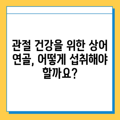 관절염 증약 상어 연골| 튼튼한 관절 회복을 위한 선택 가이드 | 관절염, 상어 연골, 건강 기능 식품, 관절 건강