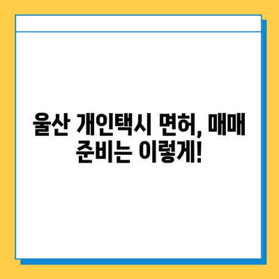 울산 중구 약사동 개인택시 면허 매매 가격| 오늘 시세, 넘버값, 자격조건, 월수입, 양수교육 |  핵심 정보  |  실제 매매 사례