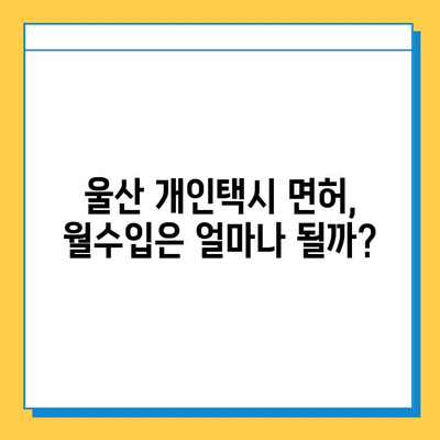 울산 중구 약사동 개인택시 면허 매매 가격| 오늘 시세, 넘버값, 자격조건, 월수입, 양수교육 |  핵심 정보  |  실제 매매 사례