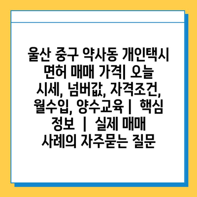 울산 중구 약사동 개인택시 면허 매매 가격| 오늘 시세, 넘버값, 자격조건, 월수입, 양수교육 |  핵심 정보  |  실제 매매 사례