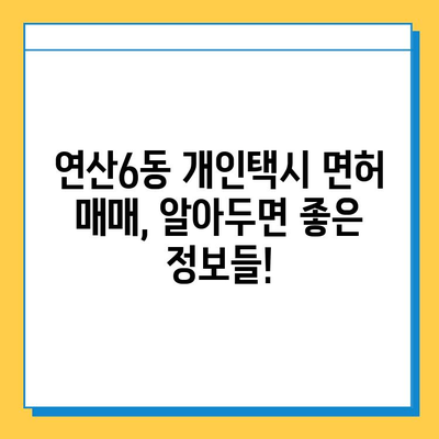 부산 연제구 연산6동 개인택시 면허 매매 가격 오늘 확인하세요! | 번호판, 넘버값, 자격조건, 월수입, 양수교육