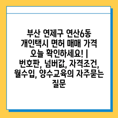 부산 연제구 연산6동 개인택시 면허 매매 가격 오늘 확인하세요! | 번호판, 넘버값, 자격조건, 월수입, 양수교육