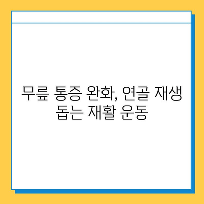 무릎 연골 주사 후 지속 관리의 중요성| 회복 촉진과 재발 방지를 위한 5가지 전략 | 무릎 통증, 연골 재생, 재활 운동, 주사 후 관리,  관절 건강