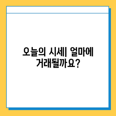 울산 남구 신정2동 개인택시 면허 매매 가격| 오늘 시세 & 자격조건 | 월수입 | 양수교육