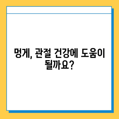 연골 건강, 멍게가 지켜줄까요? | 연골 강화, 영양제, 멍게 효능, 관절 건강