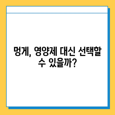 연골 건강, 멍게가 지켜줄까요? | 연골 강화, 영양제, 멍게 효능, 관절 건강