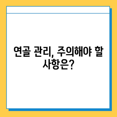 무릎 연골 주사 후, 연골 수술 이후에도 꼭 필요한 관리법 | 무릎 통증, 재활, 운동, 주의사항