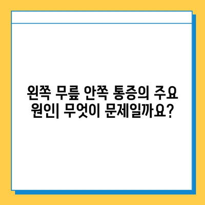 왼쪽 무릎 안쪽 통증, 원인부터 해결까지| 연골 관리법과 함께 | 무릎 통증, 연골 손상, 운동법, 재활