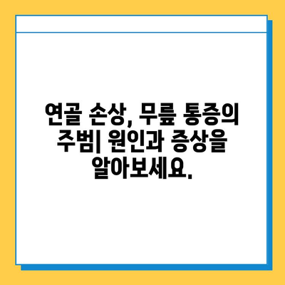 왼쪽 무릎 안쪽 통증, 원인부터 해결까지| 연골 관리법과 함께 | 무릎 통증, 연골 손상, 운동법, 재활