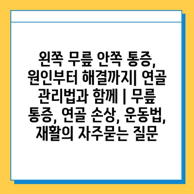 왼쪽 무릎 안쪽 통증, 원인부터 해결까지| 연골 관리법과 함께 | 무릎 통증, 연골 손상, 운동법, 재활