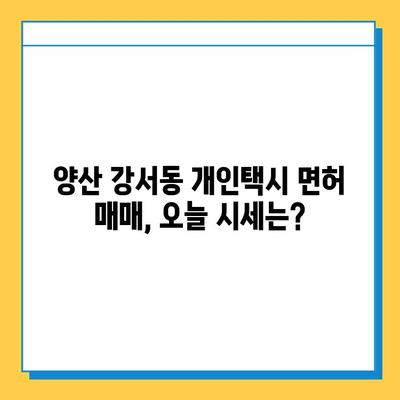 양산 강서동 개인택시 면허 매매, 오늘 시세는? | 가격, 자격조건, 월수입, 양수교육 정보