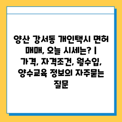 양산 강서동 개인택시 면허 매매, 오늘 시세는? | 가격, 자격조건, 월수입, 양수교육 정보