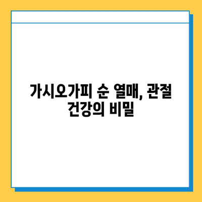 건강한 관절 유지의 열쇠| 가시오가피 순 열매와 연골 복합 관리 | 관절 건강, 연골 관리, 가시오가피 효능, 건강 정보