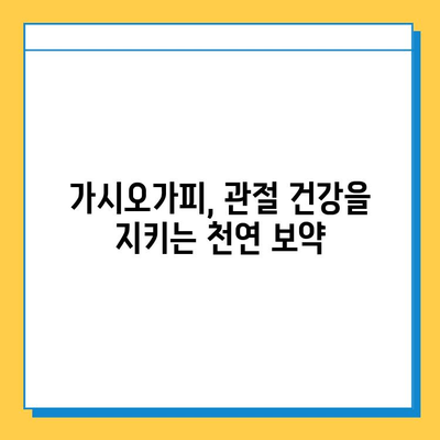 건강한 관절 유지의 열쇠| 가시오가피 순 열매와 연골 복합 관리 | 관절 건강, 연골 관리, 가시오가피 효능, 건강 정보