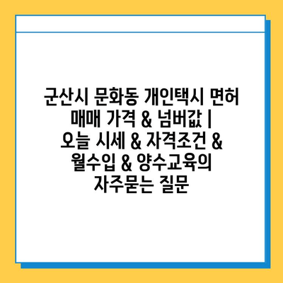 군산시 문화동 개인택시 면허 매매 가격 & 넘버값 | 오늘 시세 & 자격조건 & 월수입 & 양수교육