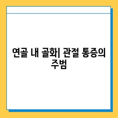 연골 내 골화로 인한 관절 통증| 원인과 해결책 | 관절 건강, 통증 관리, 치료 방법