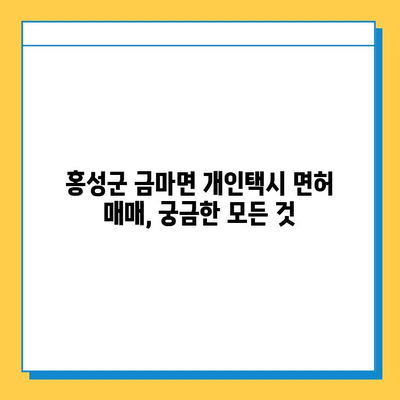 홍성군 금마면 개인택시 면허 매매 가격 & 자격조건 | 오늘 시세, 넘버값, 월수입, 양수교육